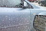 Саратовцев удивил «пепел с Камчатки» на припаркованных автомобилях