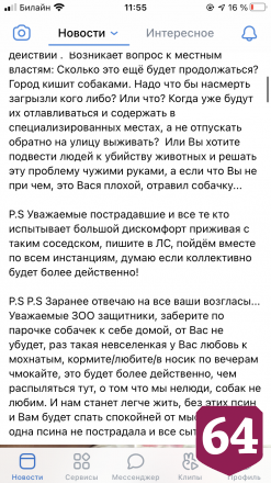 В Саратове 9-летнего мальчика искусали бродячие собаки
