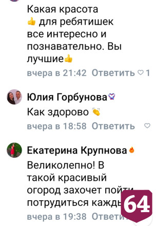 Соцсети восхитил экоогород с необычными грядками в саратовском детсаду