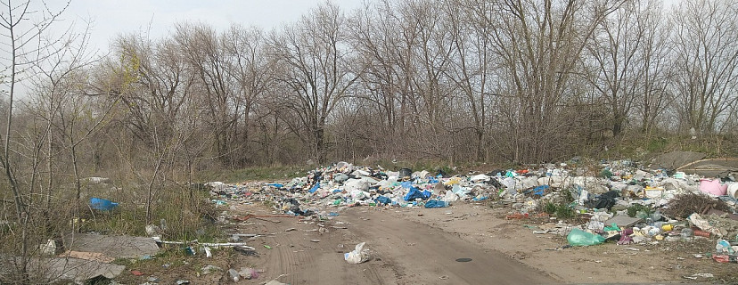 Саратовцы устроили незаконную свалку у дороги 