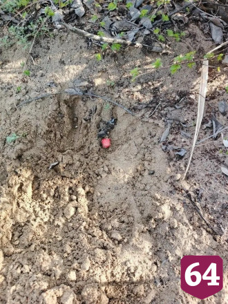 В Энгельсе поймали закладчика марихуаны