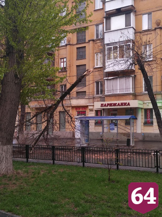 Водители объезжают по тротуару повисшее на проводах дерево