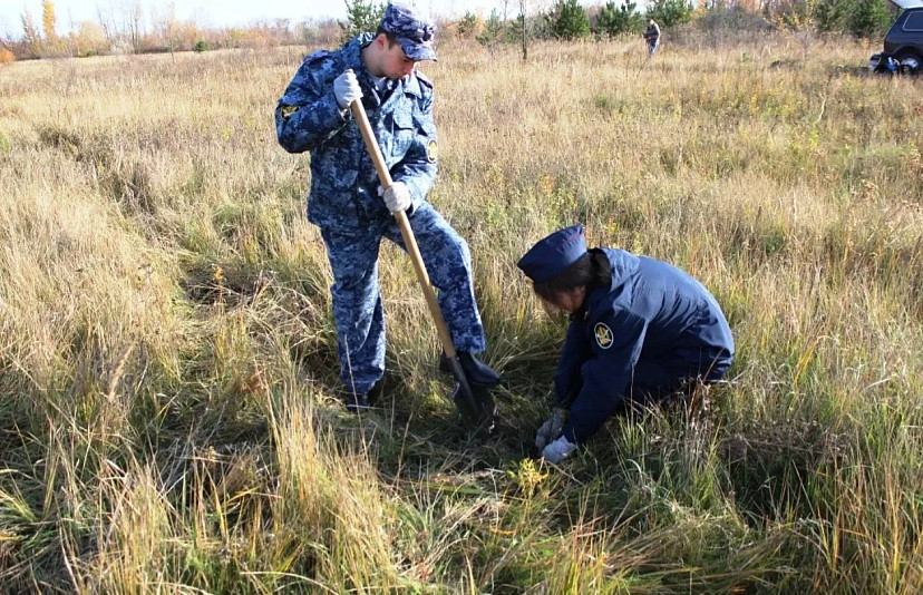 Сотрудники саратовской колонии внесли вклад в восстановление лесов