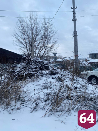 В Саратове незаконную свалку не убирают с весны