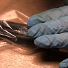 Саратовца осудили за выстрел в водителя троллейбуса