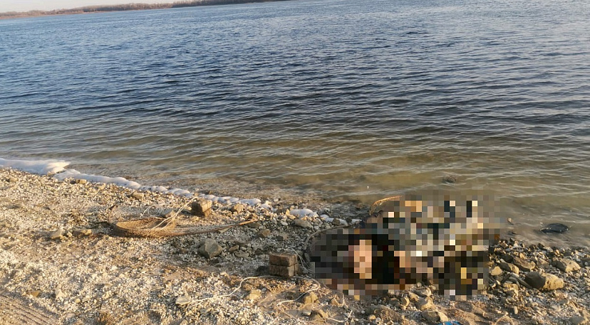 Рыбак на берегу Волги нашел мертвеца и снасти 