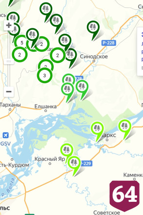 Жители устроили перекличку по грибным местам Саратовской области