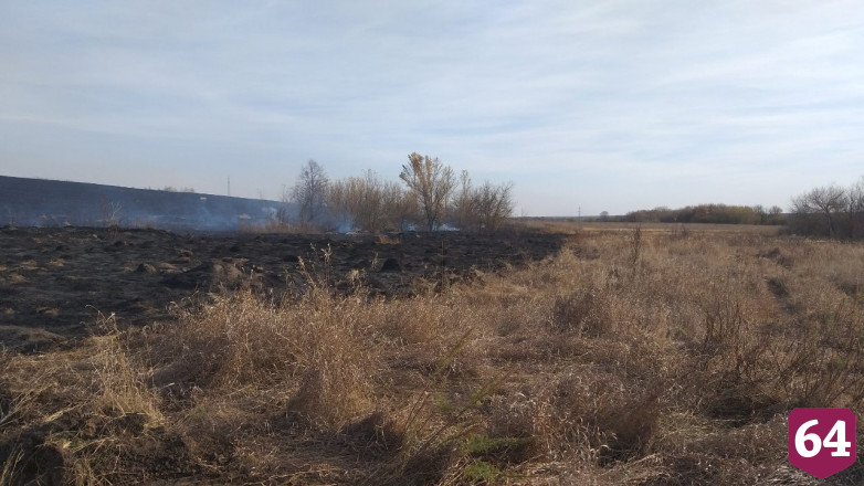Под Саратовом полыхает 15 гектаров леса