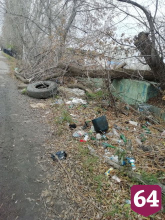 В Саратове бизнес обяжут убрать многолетнюю свалку