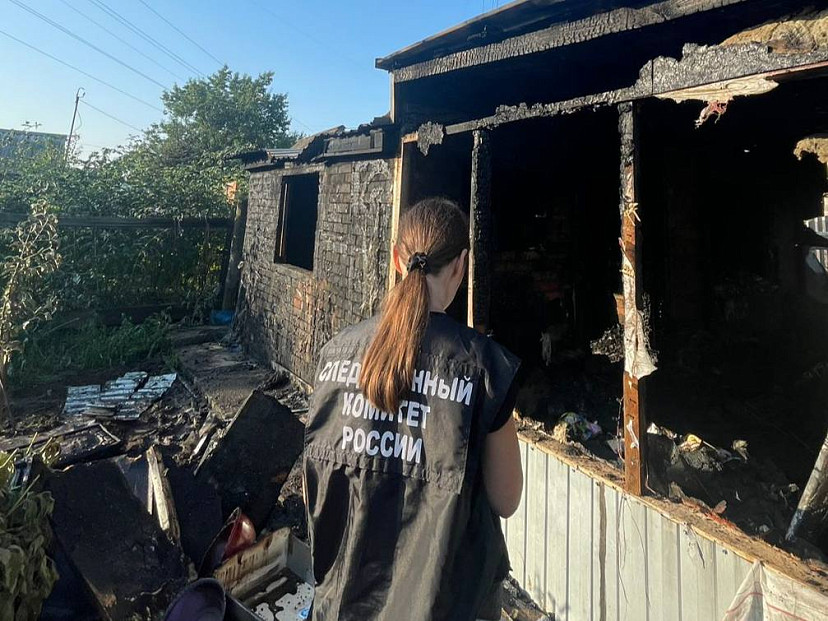 В Саратовской области на пожаре погибли мать и двое маленьких детей 