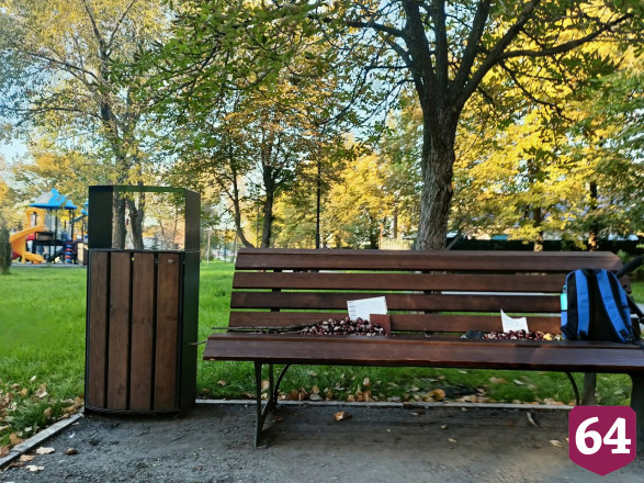 В сквере Саратова дети торгуют каштанами по рублю