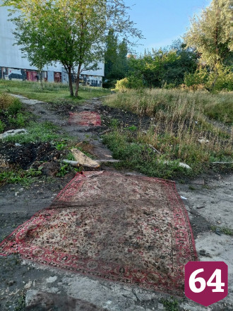 Жители Саратова застелили коврами пешеходную дорожку 