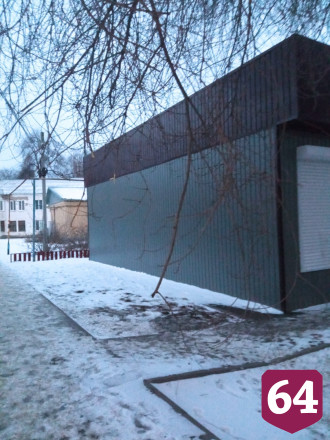 Саратовцы показали опасное дерево на пути к детскому саду 