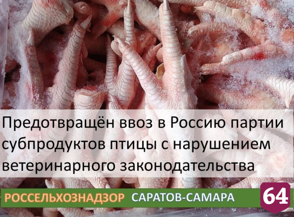 В Саратов не пустили подозрительные куриные лапки