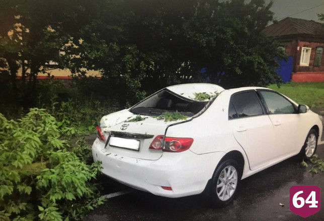 Поваленное ветром дерево придавило пассажирку иномарки под Саратовом