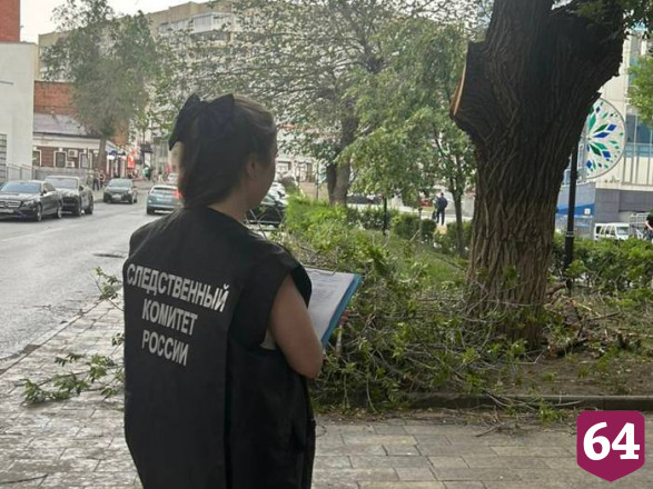 В сквере Саратова на подростка рухнула ветка дерева