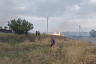 Под Саратовом едва не сгорел уникальный реликтовый лес