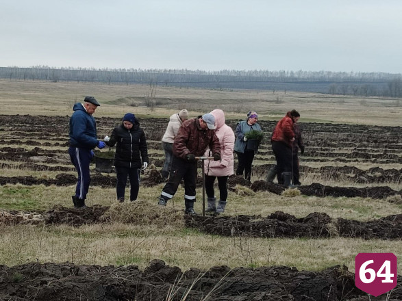 Волонтеры акции «Сад памяти» заложили лес под Саратовом