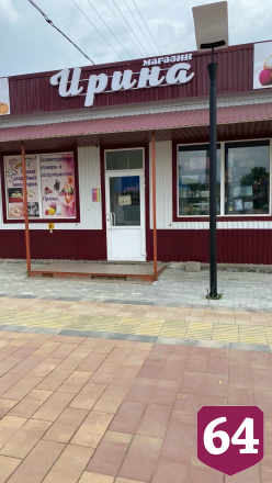 Саратовского художника удивили бегающие по ночному городу ежики