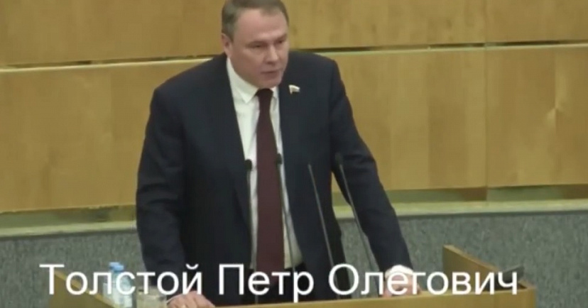 Депутат Госдумы считает подстрекателей к незаконным акциям предателями Родины 