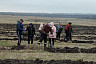 Волонтеры акции «Сад памяти» заложили лес под Саратовом