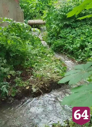 Жителей Саратова атакуют комары из-за затопленного подвала