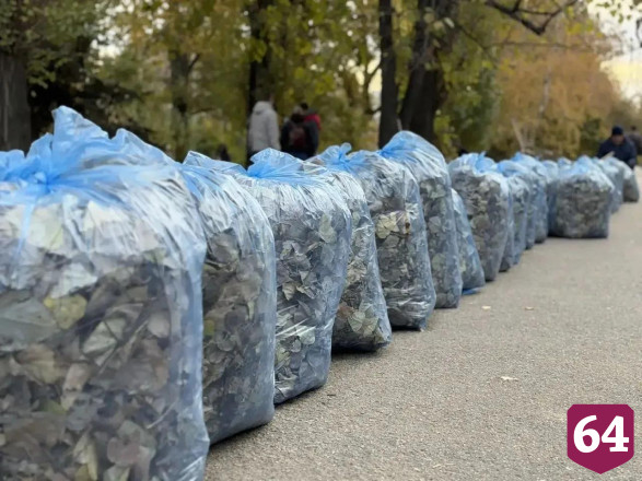 В Саратове на субботник вышли около 50 тысяч жителей
