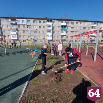 Депутат Госдумы приобрел 300 деревьев для городского субботника