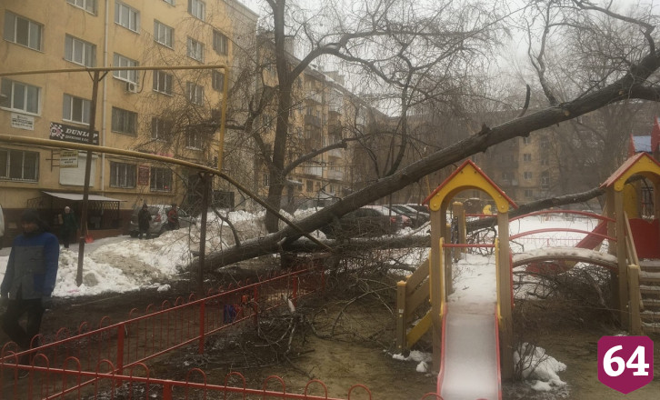 В Саратове дерево рухнуло на детскую площадку и повредило газопровод 