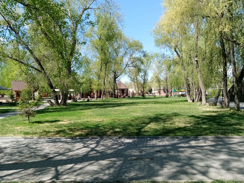 В Саратовской области ожидаются дожди и теплая погода