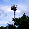 МТС обеспечила связью LTE один из крупнейших тепличных комплексов Саратовской области