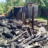 В Саратовской области на крупном пожаре погибли 17 кур