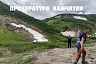 На Камчатке медведя застрелили после нападения на туристку из Саратова
