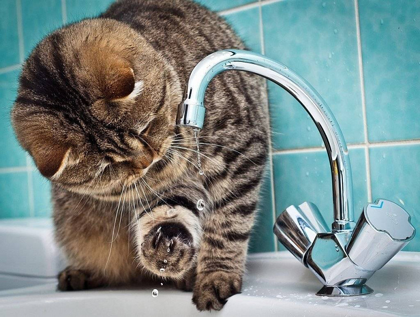 На Аткарской организовали подвоз воды из-за отключения на 4 улицах