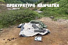 На Камчатке медведя застрелили после нападения на туристку из Саратова