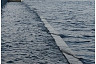 В Саратове поднялся уровень воды в Волге