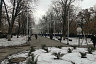 Аллею под «Звездным небом» оградили от любителей фотосессий 