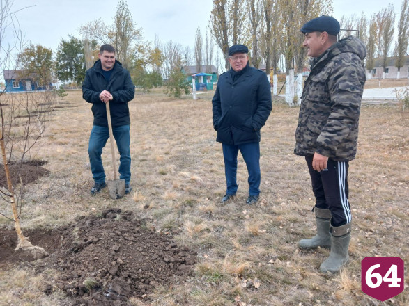 В детском лагере под Саратовом посадили липы и березы
