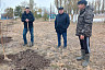 В детском лагере под Саратовом посадили липы и березы