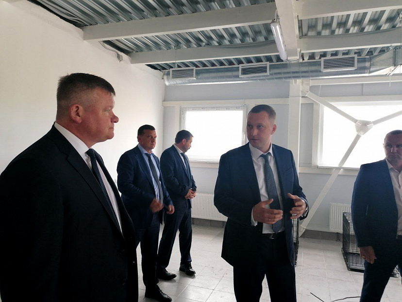 В Саратове приют для животных организует бесплатные операции