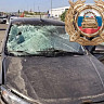 Разыскиваются очевидцы смертельной аварии на Вольском тракте
