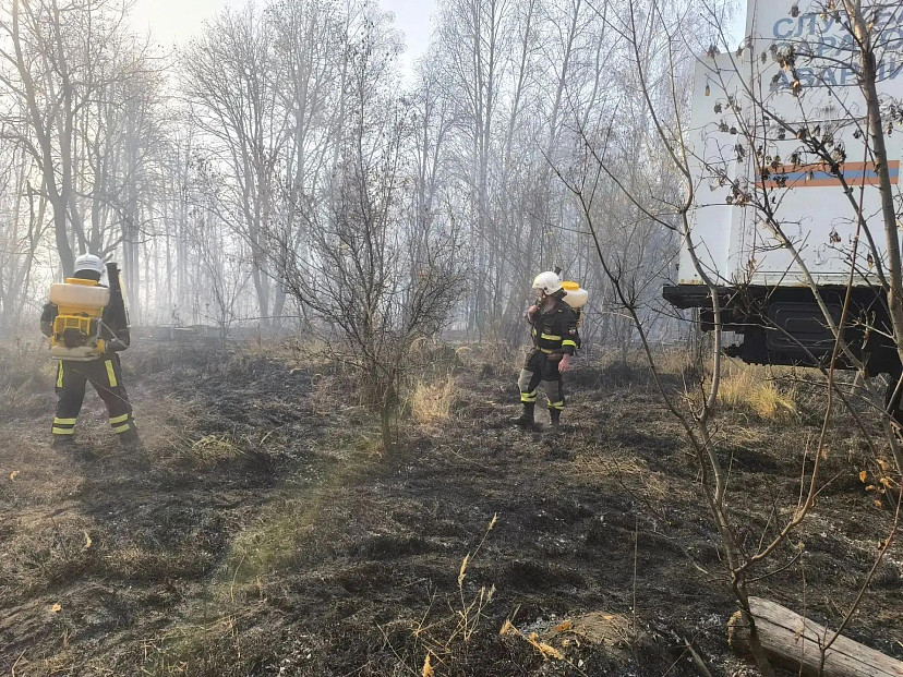 Ликвидирован лесной пожар около саратовского села Лох