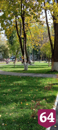 В Саратове без полива засыхает сквер