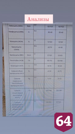 Саратовская юристка ищет любящую семью пожилой собаке
