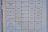 Саратовская юристка ищет любящую семью пожилой собаке