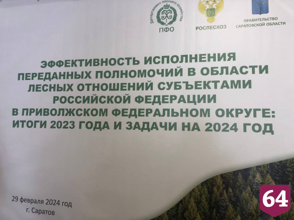 В Саратовской области непригодные земли отдадут под посадку новых лесов