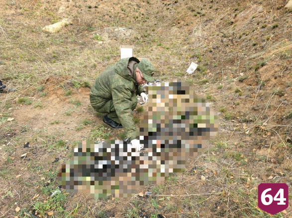 Грибники нашли кости пропавшей без вести пенсионерки