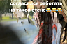 Художник попытался исправить облезлых котов на Театральной площади