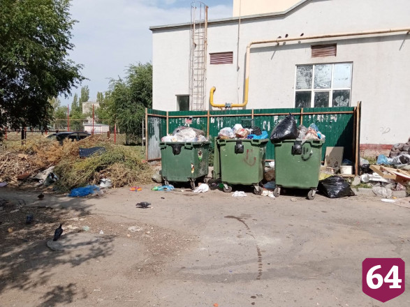 Горожанка поставила «неуд» за уборку мусора у школы