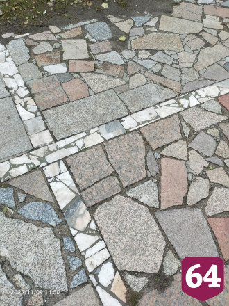 В Саратове лестница к дому быта заросла кустарником